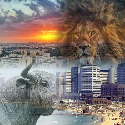 TNS 132 The Meaning of Israel's War on Iran (with Jacob Siegel)