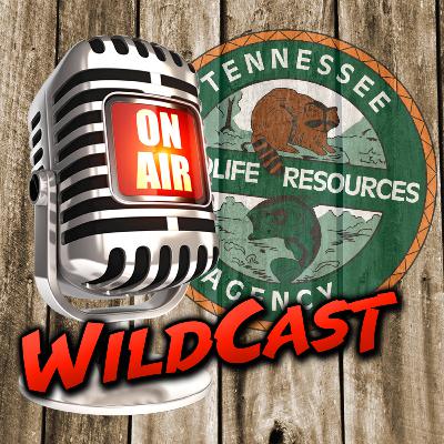 Tennessee Wildcast 6-10-23