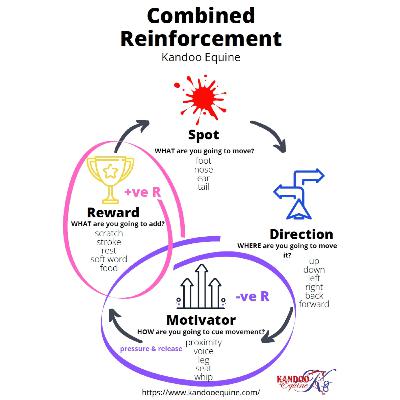 Combined Reinforcement