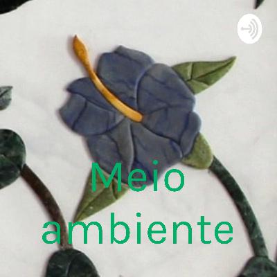 Meio Ambiente