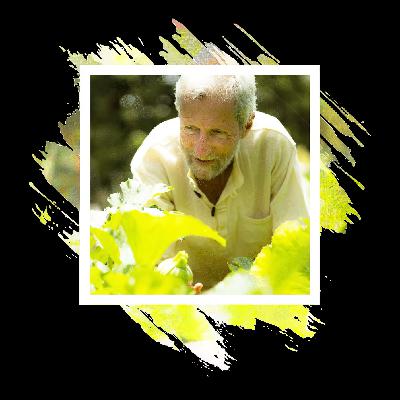 Mystery, Mindfulness, Liberation & Everyday Dharma | Anapanasati Series Premiere With Stephen Fulder