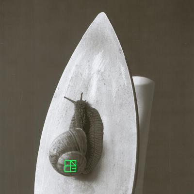 Kurátorovať Marka Blaža