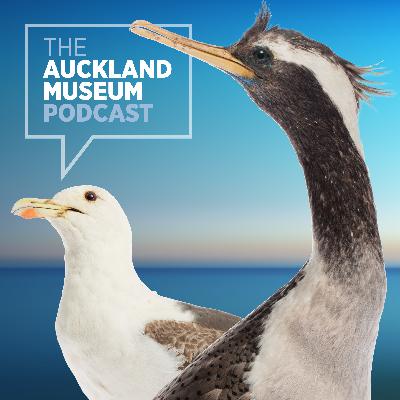 Manu Moana: a bird’s eye view