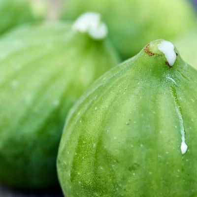 the mother of mothers the mother of mothers