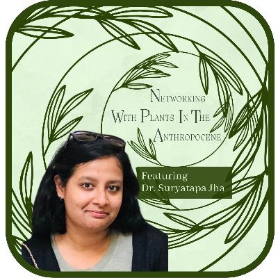Episode 35 Kate Brelje interviews Suryatapa Jha