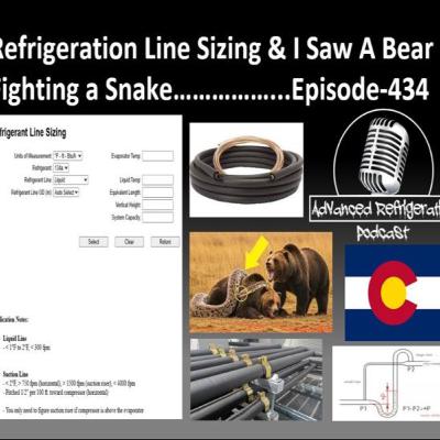 Refrigeration Line Sizing & I Saw A Bear Fighting a Snake…..Episode-434 Video