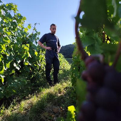 Vous avez dit Champagne de Vignerons ? - Épisode 3 - Perseval-Farge