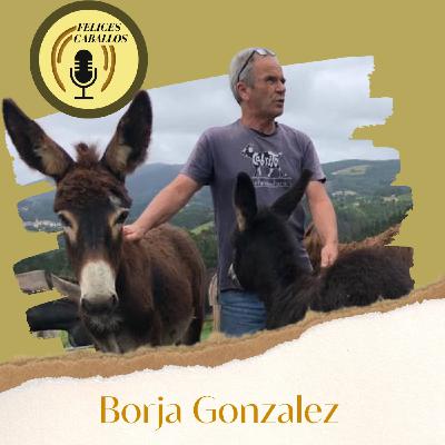 Qué necesitan los burros, Borja?