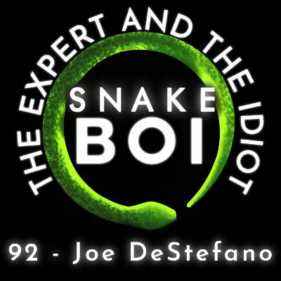 92 - Joe DeStefano of Meteoric Serpents LLC - The Expert and The Idiot - A Reptile Podcast