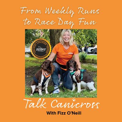From Weekly Runs to Race Day Fun From Weekly Runs to Race Day Fun