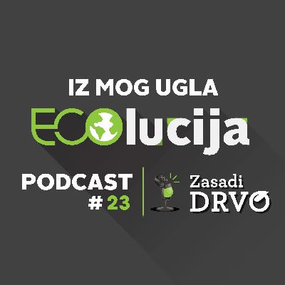 ECOlucija 23: Kako boravak u prirodi utiče na odrasle i decu? ECOlucija 23: Kako boravak u prirodi utiče na odrasle i decu?
