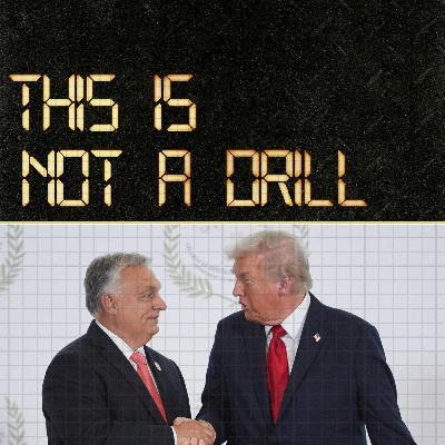 The Populist Playbook – How does the right wing connect globally?