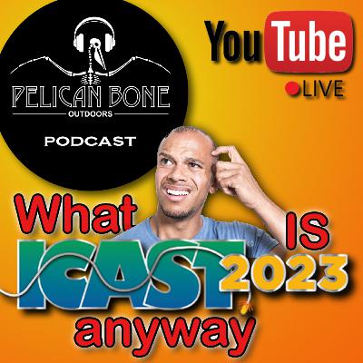 Ep. 17 | What is ICAST anyway?