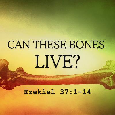Can These Bones Live? (Ezekiel 37:1-14)