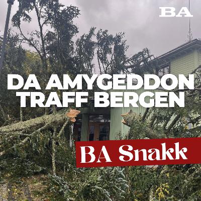 Amygeddon, kommunens regnefeil og paralleller til 1936 Amygeddon, kommunens regnefeil og paralleller til 1936