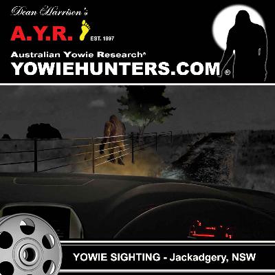 Yowie Sighting at Jackadgery, New South Wales 2013