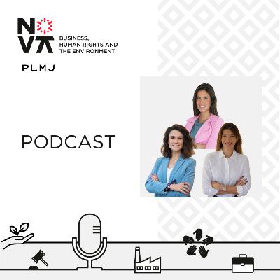 Ep. 30: Navigating Corporate Human Rights and Environmental Due Diligence, Exploring Impacts on Sustainable Finance Ep. 30: Navigating Corporate Human Rights and Environmental Due Diligence, Exploring Impacts on Sustainable Finance