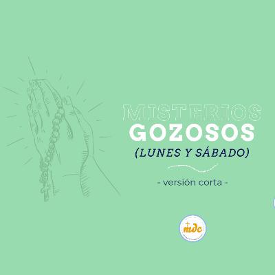 Misterios Gozosos - Santo Rosario -  lunes y sábados - versión corta