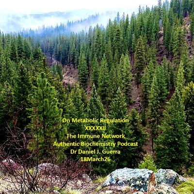 On Metabolic Regulation XXXXXIIThe Immune Network Authentic Biochemistry Podcast Dr Daniel J. Guerra 18March26 On Metabolic Regulation XXXXXIIThe Immune Network Authentic Biochemistry Podcast Dr Daniel J. Guerra 18March26