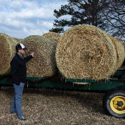 War with Iran disrupts fertilizer exports as U.S. farmers prepare for planting season War with Iran disrupts fertilizer exports as U.S. farmers prepare for planting season