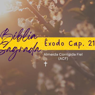 Bíblia Sagrada: Êxodo Cap. 21