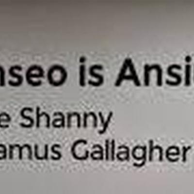 Anna Nic Lochlainn Bainisteoir an Ghailearaí i nGaoth Dobhair. Anna Nic Lochlainn Bainisteoir an Ghailearaí i nGaoth Dobhair.