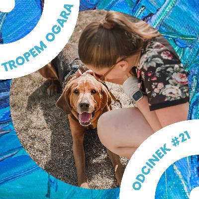#21 Psi obóz - relacja z wyjazdu z psem