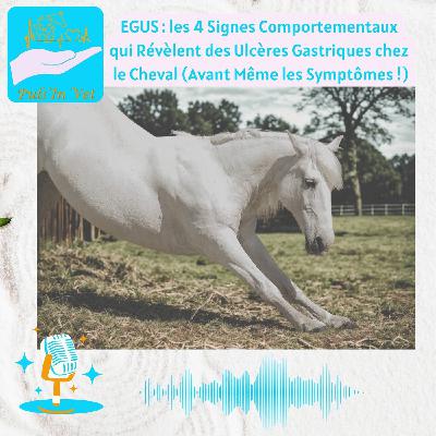 EGUS : les 4 Signes Comportementaux qui Révèlent des Ulcères Gastriques chez le Cheval