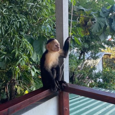 Episode VII: “Takers and Leavers” (English)