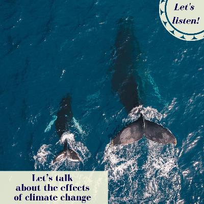 The Effects Of Climate Change The Effects Of Climate Change