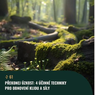 #61 Překonej ÚZKOST: 4 účinné techniky pro obnovení klidu a síly