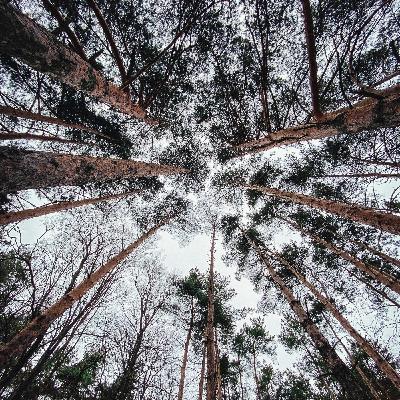 41 REC-2025-11-06 liquid