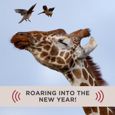 ROARing into the New Year