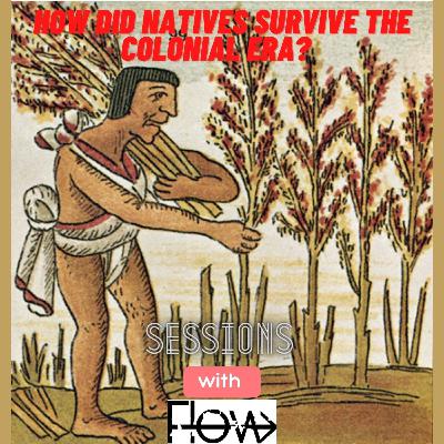 How Did Natives Survive the Colonial Era?