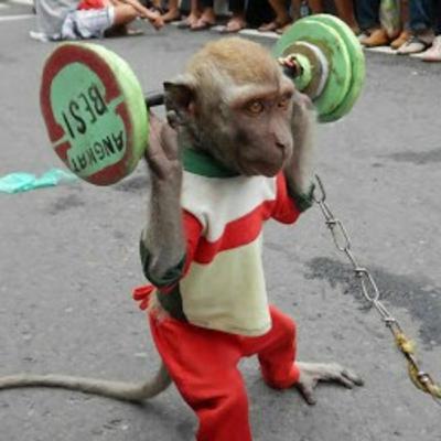 EPISODE 2 | TOPENG MONYET emang harus ada?