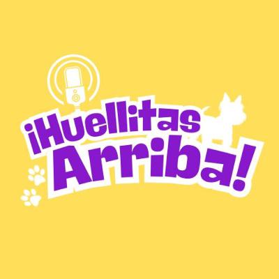 T1E5 Huellitas Arriba - ¿Cómo baño a mi mascota?