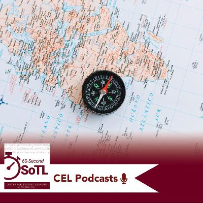 Navigating SoTL Alongside Discipline-Based Research