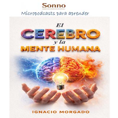 #0662 | El cerebro y la mente humana #0662 | El cerebro y la mente humana