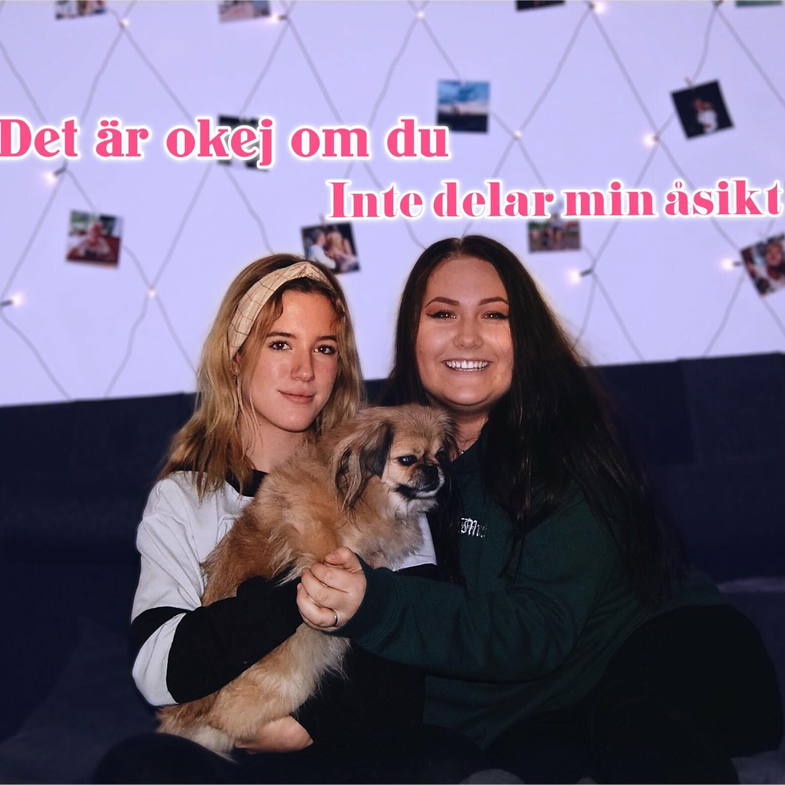 Det är okej om du inte delar min åsikt