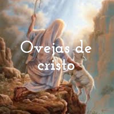Testificando el poder Dios
