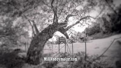 WM-507: No One Cares How You Got There | Photography Clips Podcast