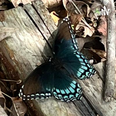 Self Restructure ❤️