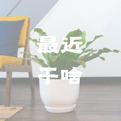 7月个人回顾：诚实面对自己