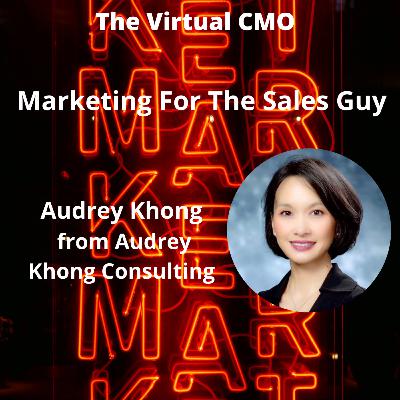 The Virtual CMO