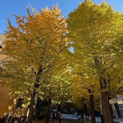 【第1074回】家ついてっていいですか！？