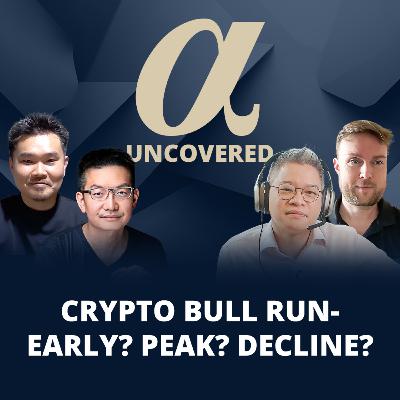 Crypto Bull Run- Early? Peak? Decline? | Alpha Uncovered - Crypto: Insto Fomo