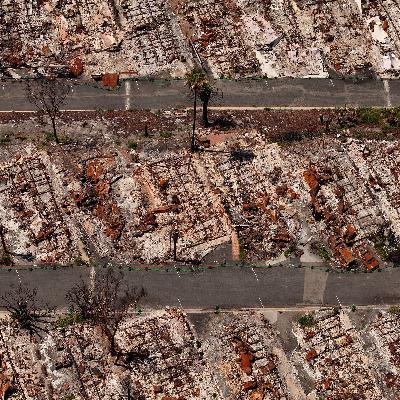 So your house burned in the wildfires. Would you rebuild with wood?