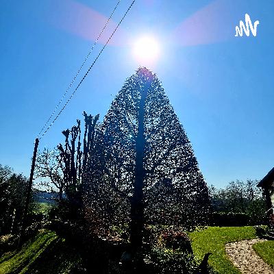 Épisode 8: Trouver un appaisement relativement rapidement dans un moment de stress ou d'anxiété.