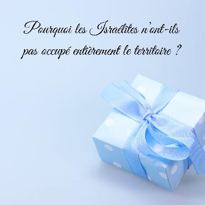Pourquoi les Israélites n’ont-ils pas occupé entièrement le territoire ?