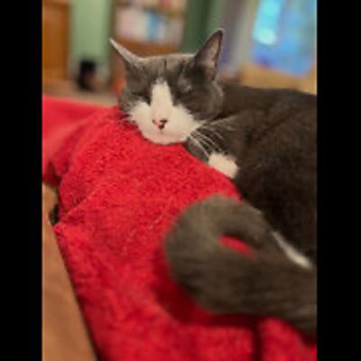 Episode 2953 CWSA 09/09/25